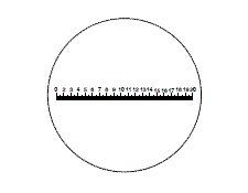 Linear Scale